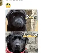 陕西一女子当老师，三年像变了个人，对比照火了，网友：一模一样图片