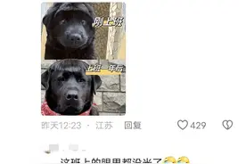 陕西一女子当老师，三年像变了个人，对比照火了，网友：一模一样图片