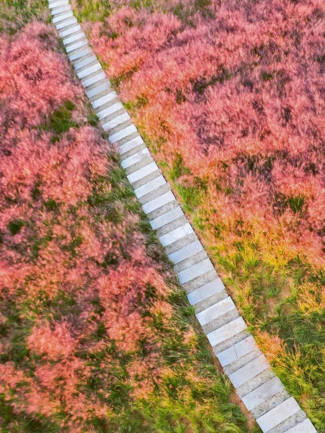 烟台秋日绝色盛宴筹备中，走！寻秋去！