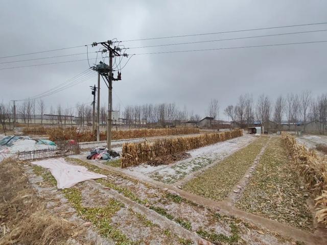 雪中探访德州城南村庄——三七村,一个跟中草药没有关系的村庄