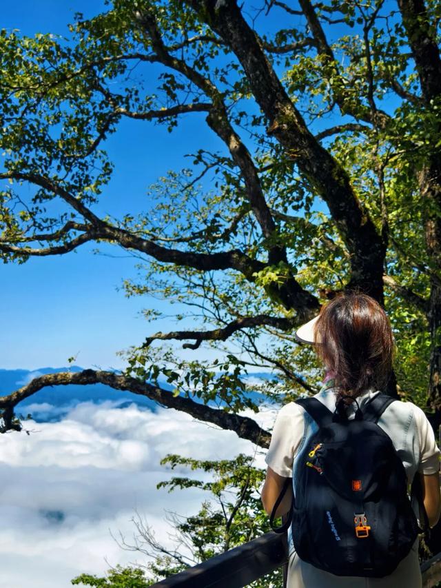 错峰赏云，把龙头山仙境装进旅途~