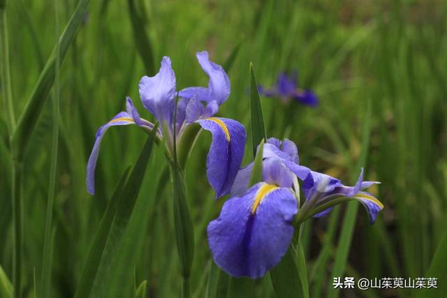 2023年春重庆探亲记（三）