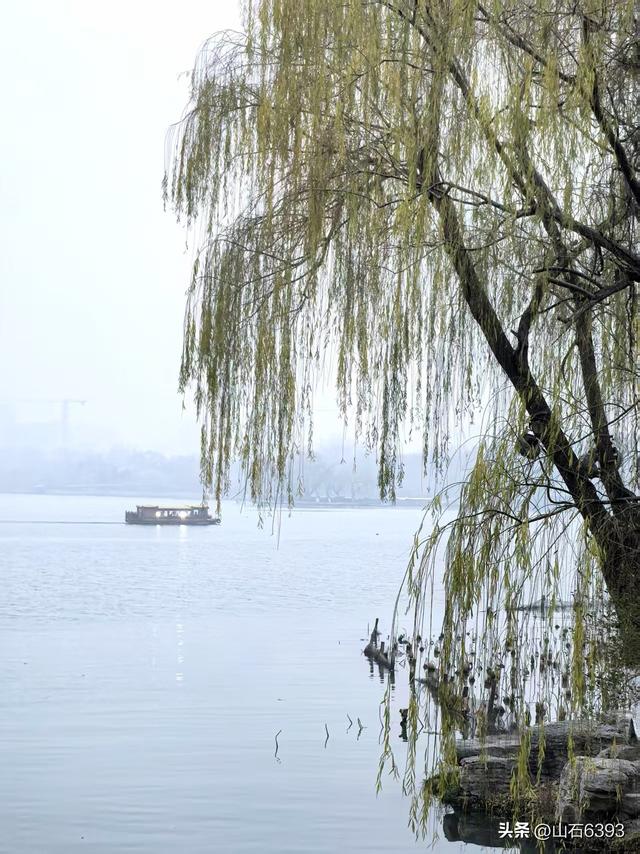 新华社原军事记者陶俊峰泉城美拍：《冬雾中的大明湖》