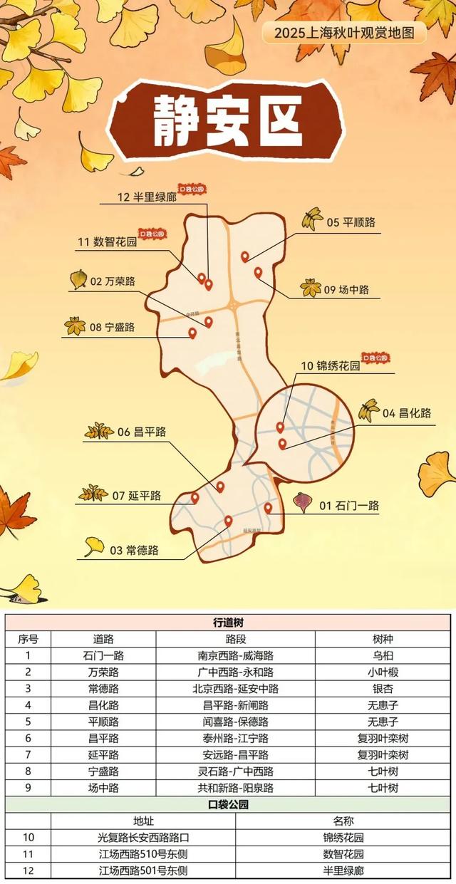 2025上海秋叶地图出炉,徐汇这些点位不可错过!