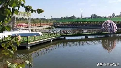 辽源“花海王国”：300亩芍药绽放，一年仅美20天，错过要等一年