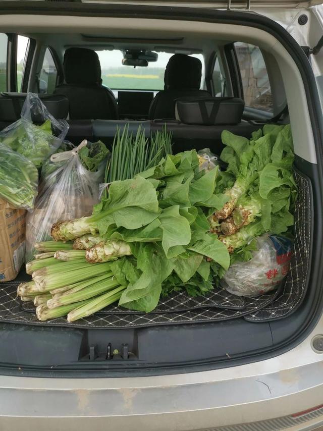 跑了23万公里的五菱之光：瘸腿父亲的腿，全家的饭碗，儿子的骄傲