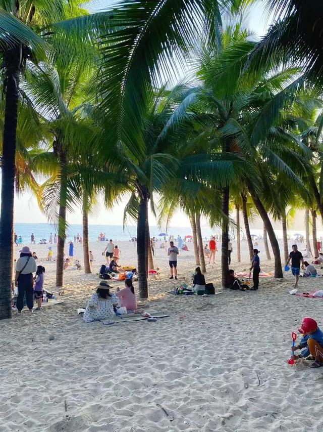 银发族暖冬天堂!海南避寒养生全攻略,让你玩得比年轻人还溜