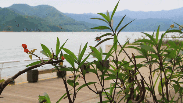 叔叔阿姨的《山海松弛秘籍》，我学了！