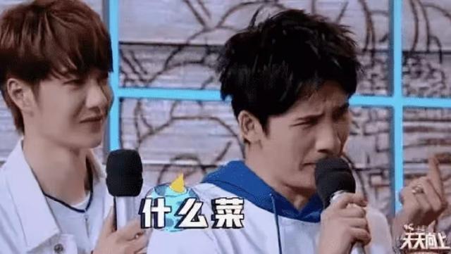 狐狸尾巴藏不住！张柏芝也没想到，自己仅剩的体面会被陈晓东撕下