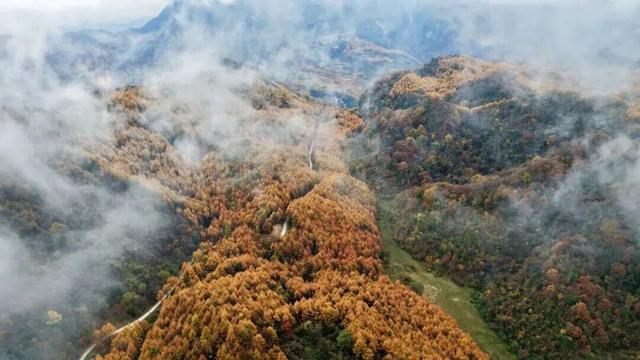 等霜落，看景去——徽县的秋，是首写满美的诗
