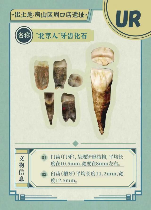 公众考古季丨抽取你的考古“盲卡”——金中都考古体验活动大朋友专场来啦！