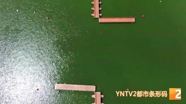 会“让路”的桥！昆明这座浮桥即将开放，打卡+1！