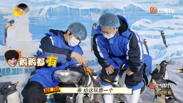 你的“影视同款”已更新，来哈尔滨get同款机位！