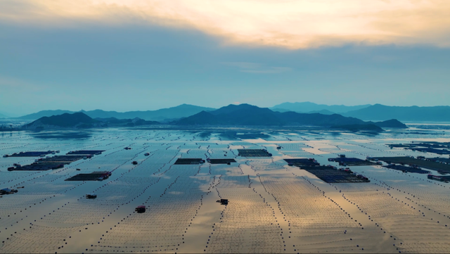 一秒心动，每一帧都是壁纸！《浒上日生》福建省霞浦县下浒镇宣传片重磅上线！