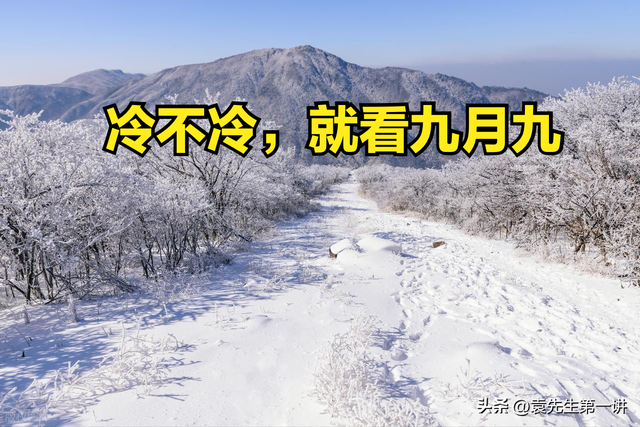 “冷不冷，就看九月九”，今日九九重阳节，今年冬天会很冷吗？