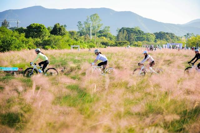 除骑遇浪漫还有山野欢乐跑！深圳南澳新大“粉黛花海季”活动陆续派送中