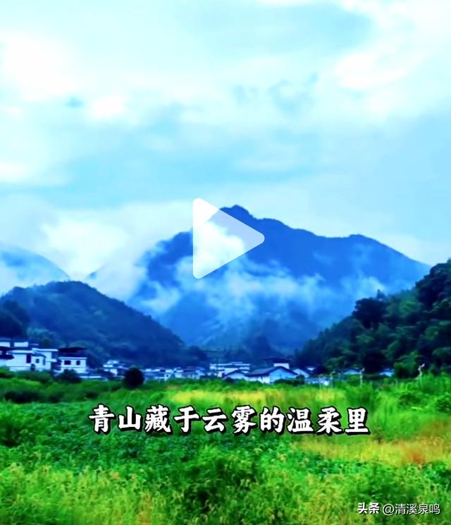 凰落秋光里，云宿醉芳华