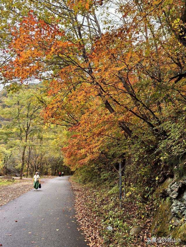 2025辽宁赏秋之旅日记(2)——游览丹东蒲石河森林公园