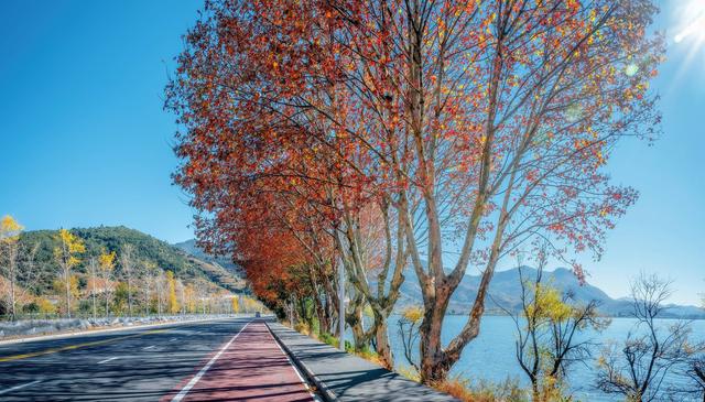 云南无购物纯玩团排名：揭秘真正零购物的品质之旅，不踩坑！