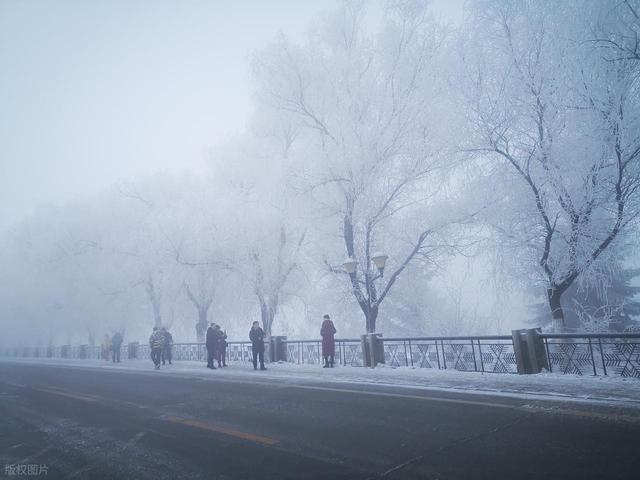 国内必去的 10 大赏雪城市，一个比一个梦幻，这个冬天不要错过