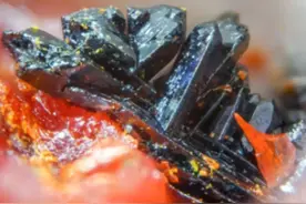 带你了解铊中毒的主要表现和作用机制图片
