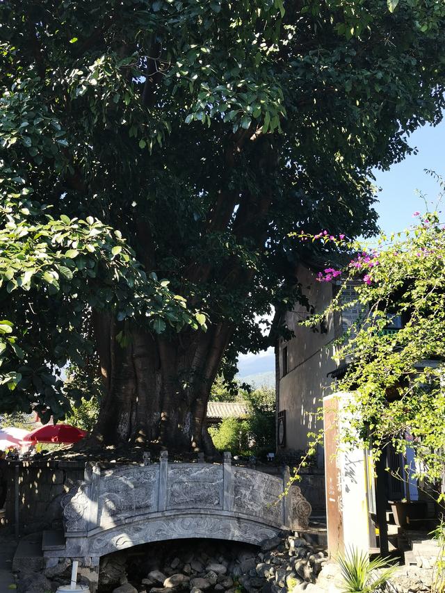 人文荟萃喜洲聚：独特民俗文化驿 古镇历史兴旺邑