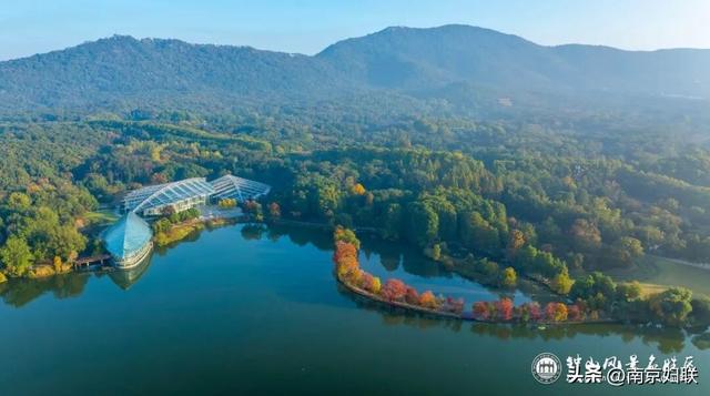 给个准信！盼了又盼的秋日“顶流”全部上线