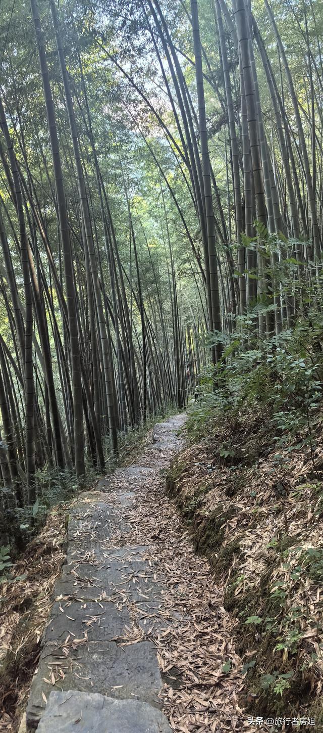一条古道从浙江到安徽，全程经过三个古村落