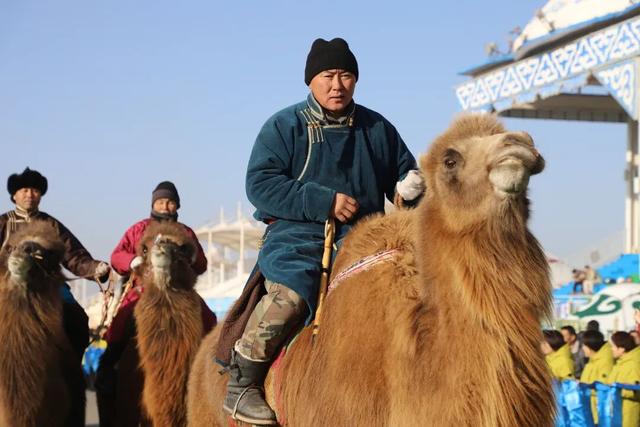 策马踏雪欢歌起！达茂旗冬季那达慕“热力值”超标