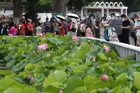 有一种叫云南的生活·旅居云南 | “去昆明”正成为“在昆明”图片