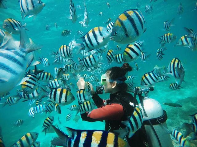 “Hainan Travel”新攻略来了！GO GO GO~