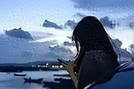 （完）婚礼上男友消失，我焦头烂额时，他带着穿婚纱的青梅出现图片