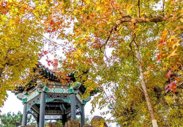 注意！长春这家景区部分区域暂时关闭→