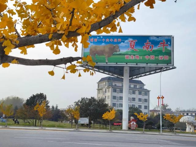 近日，铜山湖大道变了样......