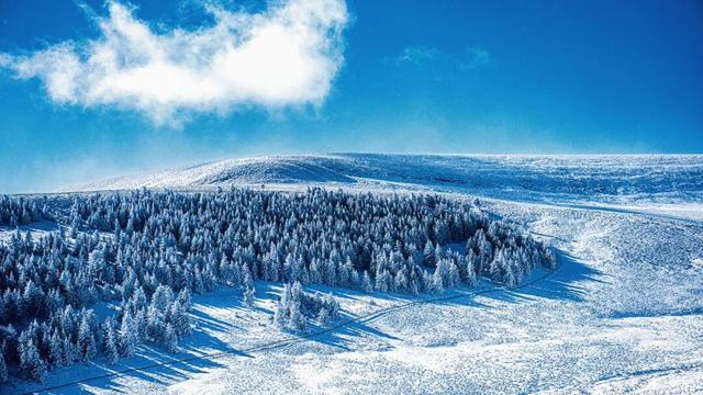 芦芽山所有景区冬季闭园！