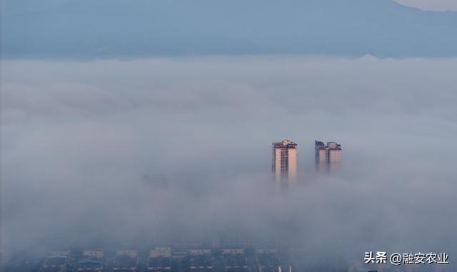 广西融安：云雾缭绕 美景如画