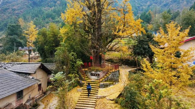 【秋意渐藏，冬序初开】石泉的旅行，是秋的告别礼，也是冬的见面笺