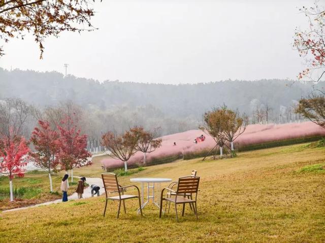 田曦薇、胡一天打卡西海岸！约你来玩！