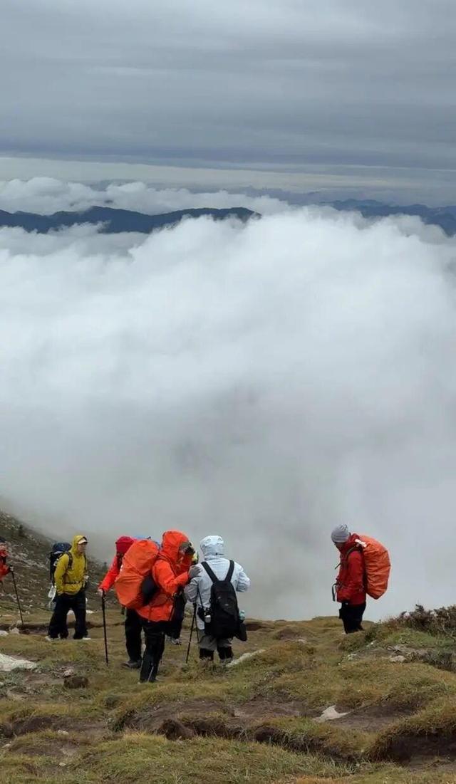 山西五台山下雪了，地面已被白雪覆盖！降雪持续一个半小时，山顶现“云海雪原”奇景