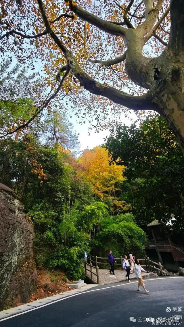 浙处丹霞地貌秋色斑斓超壮观,秋日必打卡之地!