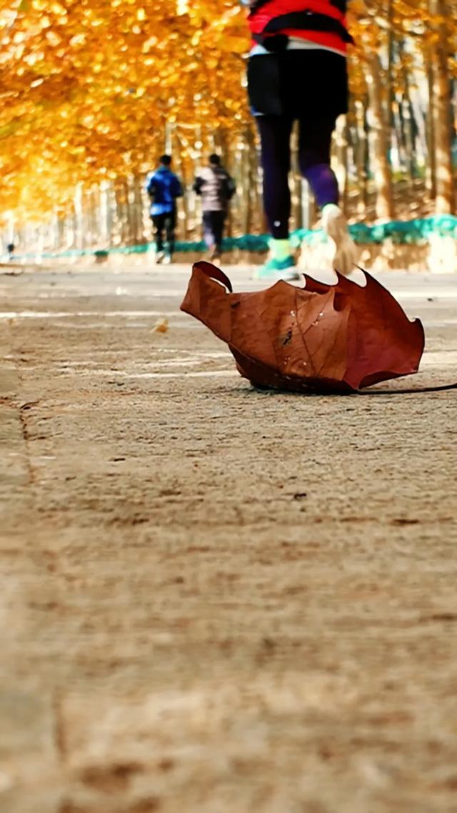 18公里步道免费开放!西五环边的这个公园迎来最佳观赏期——