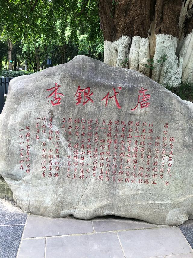 一日三游记