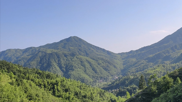 舜帝三临的"南方植物王国"：藏着长征记忆与千年茶香的"大山里"
