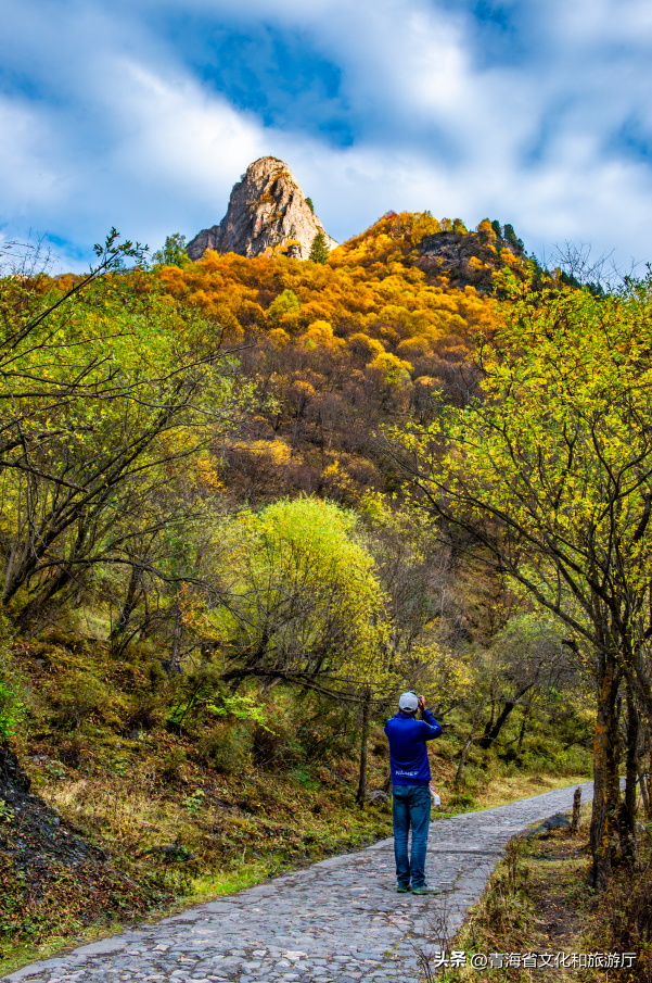 双节假期寻秋记：互助北龙山——藏在互助的“调色盘”，每一步都是诗意
