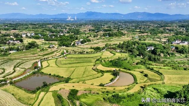 重庆因“刨猪饭”意外爆红的小城，历史上叱咤风云，你去过吗？