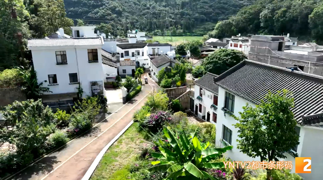 云南这座城市因旅居火了！它的宜居密码是→
