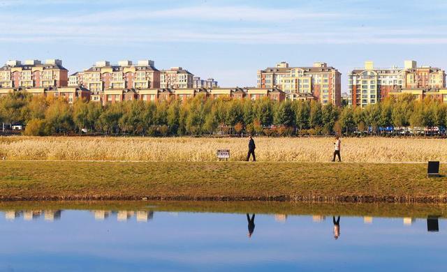 秋之彩色吉林｜苇花飞处是镜湖