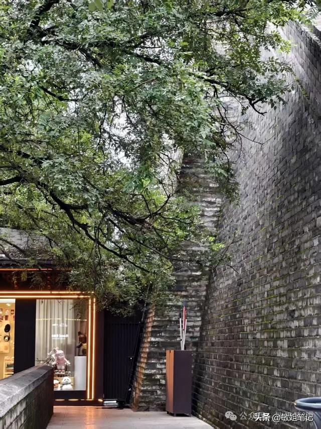 【西安游学之五】城市骑行:盛唐光影与市井烟火的交响