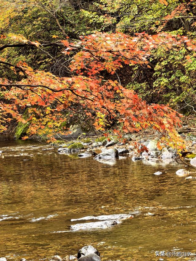 2025辽宁赏秋之旅日记(2)——游览丹东蒲石河森林公园