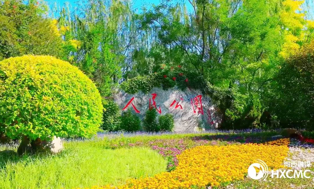 共赴上合之约 畅享“西岸”美好【第一弹】